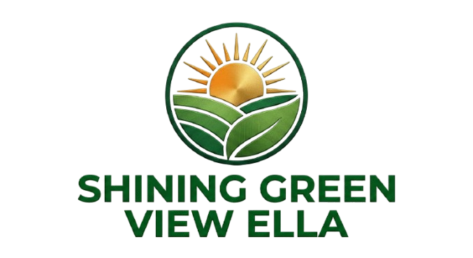 shininggreenview.stylishspaceglobe.com
